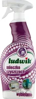 Ludwik Mleczko czyszczące aktywna piana, 750 ml