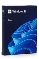 Microsoft Windows 11 Pro - Box-Pack - 1 Lizenz - Flash-Laufwerk