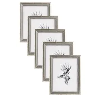 WOLTU 5er Set Bilderrahmen, Artos Stil Holzrahmen  Glasscheibe, Silber, 13x18 cm