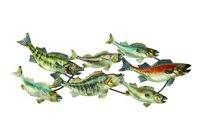 Wanddeko Fisch Zierfisch Wandbild Metall Deko Tier Figur Wandschmuck Wand Hänger