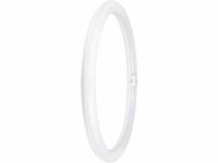 OSRAM LED TUBE T9C EM 40, tuba LED w kształcie pierścienia, 24W, 2900lm, 6500K, światło białe dzienne, alternatywa LED dla klasycznych świetlówek T9, długa żywotność, niskie zużycie energii