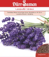 Dürr-Samen - Lavendel Verani - Saatgut - 4386