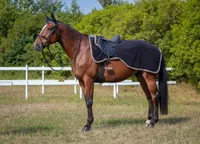 Equithème Polarfleece Nierendecke Polyfun