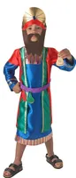 Bristol Novelty - Kostým - Chlapci BN5844 (L) (Modrý)
