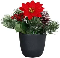 Weihnachtsstern - ca. 15 cm