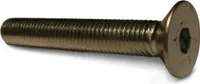 Griffschraube M10 für Klettergriffe, Senkkopfschraube, Größe:110mm