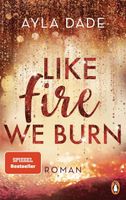 Like Fire We Burn: Roman. Knisternde New-Adult- romantik (Die Winter-Dreams-Reihe, Band 2)