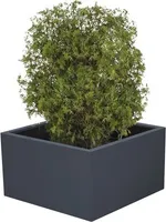 Pflanzkübel Palatino Clara 70 x 70 x 50 cm Metall anthrazit