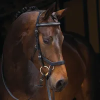 Horseware Rambo Micklem Diamant Competition Bridle - Black, Größe:Pony (S)