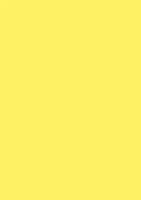 Universalpapier A4 80g gelb VE=5x50 Blatt