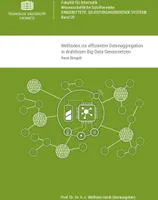 Bergelt, R: Methoden zur effizienten Datenaggregation in dra