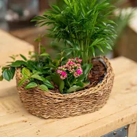 Seegras Korb Schale natur 28 x 20 x 11cm mit Einsatz Blumentopf geflochten Aufbewahrungskorb Übertopf Blumenkorb