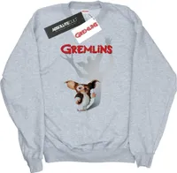Gremlins - Sweatshirt für Herren BI26683 (M) (Grau)