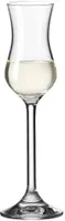 Leonardo Daily Sklenice na Grappu 100ml