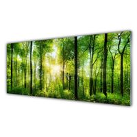 Wandbilder Glasbilder Druck auf Glas 125x50 Wald Natur 