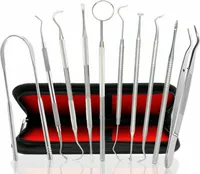 10x Dental Zahnarzt Instrumente Zahnsonde Zahnpflege Zahnreinigung Werkzeuge