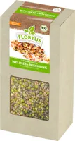 Keimsprossen Wellness-Mischung (Mungbohnen, Alfalfa, Linsen und Rettich) (200 g) |Keimsprossen von FLORTUS