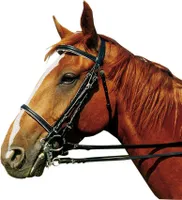 Kandarenzaum, Gr. Warmblut in F/S