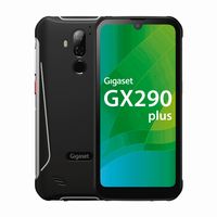 GX290 grau Plus 64GB Smartphone