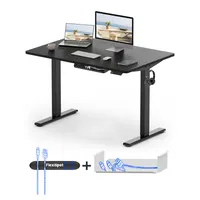 FLEXISPOT Biurko z regulacją wysokości Basic 120x60cm z prowadzeniem kabli i haczykami - Ergonomiczne biurko z jednoczęściowym blatem w kolorze czarnym