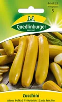 Quedlinburger Saatgut - Zucchini gelb Atena Polka - Samen - 446721
