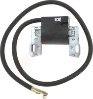 Zündspule Für Briggs & Stratton ( 393993 , 395326 , 395492 , 398265 , 398811 , 394963 , Pt15339 )