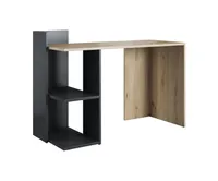 Vivaldi Schreibtisch für Büro, Arbeitszimmer oder Homeoffice "Paco" Artisan Eiche - Anthrazit 120 cm