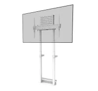 Neomounts TV-Wandhalterung WL55-875WH1 weiß