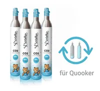 2kg CO2 Füllung / Tauschflasche in Lebensmittelqualität E290 für OCOPRO  Flaschen