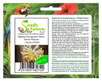 10x Edgeworthia gardneri Papierbusch Baum Garten Pflanzen - Samen ID1265