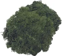 KNORR prandell Islandmoos 50 g tannengrün Naturmoos