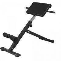 GORILLA SPORTS® Hyperextension Rückentrainer - Klappbar, Höhenverstellbar, mit Beinfixierung, bis 120 kg Belastbar, Schwarz - Bauchtrainer, Rückenstrecker für zu Hause, Römischer Stuhl