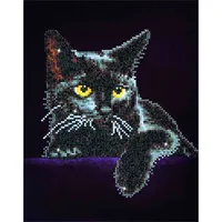 Midnight Cat Diamond Dotz: 28x36 cm