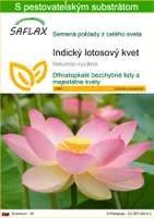 SAFLAX - Indický lotosový kvet - Nelumbo nucifera   - 8 Semená - S pestovateľským substrátom bez klíčkov