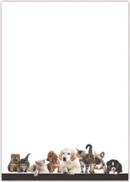 Motiv Briefpapier (Tiere-5042, DIN A4, 100 Blatt). Einseitig bedrucktes Briefpapier,  beschreibbar, Motivpapier für alle Drucker/Kopierer geeignet Motiv Tiere Hunde Katzen Tierhandlung Zoo Tierbedarf
