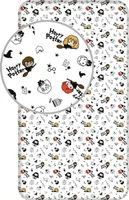 Harry Potter Spannbettlaken, Modell Broom Spannbettlaken, 90 x 200 cm