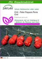 SAFLAX - Chili - Peter Peppers Penis Chili - 10 Samen - Mit keimfreiem Anzuchtsubstrat - Capsicum annuum