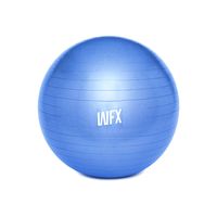 #DoYourFitness Gymnastikball inkl. Ballpumpe - Fitness Sitzball - Blau - 65 cm