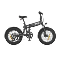 Elektrisches Fahrrad PVY Turbo - 250W Motor 48V13AH Batterie 20 Zoll ReifenFaltbar - Grau