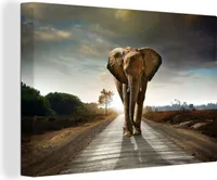 OneMillionCanvasses® Malba na plátně Nástěnná malba na plátně - Slon - Silnice - Zvířata - Západ slunce - Krajina - 150x100cm