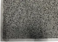 Fußmatte SCORDIA 40 x 60 cm schwarz