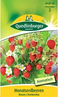 Quedlinburger Saatgut - Monatserdbeere Rügen - Samen - 410712