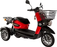E-Trike-Carrier 25, Rot, XXL-Gepäckträger