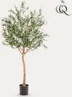Kunstpflanze - Olea europaea - Olivenbaum - 180 cm