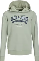 Jack & Jones Logo 2 Col 24 Kapuzenpullover Grün 16 Years Junge Grün 16 Years