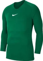 Nike Nike Herren Trikot T-Shirt Nike Dri Fit Park First Layer O24-0085248