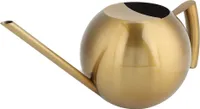1000 ml Edelstahl-Gießkanne mit langem Ausguss, Gold – Robustes Gartengerät für Blumen und Pflanzen