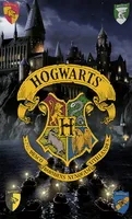 Harry Potter Hogwarts Badetuch 75x150