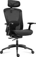 HUZARO Combat 7.3 | Gaming Stuhl Ergonomischer Bürostuhl PC-Stuhl | Fußstütze Verstellbare Kopfstütze | Schwarz