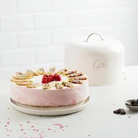 NAVARIS Kuchen Transportbox Tortenplatte Ø 25cm - Kuchenplatte Kuchenglocke mit Haltegriff - Tortenbehälter rund - Kuchenbehälter mit Deckel -